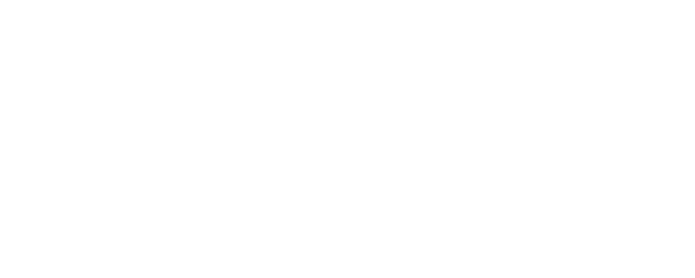 SUPER BONFIRE Logo